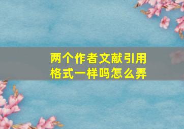 两个作者文献引用格式一样吗怎么弄