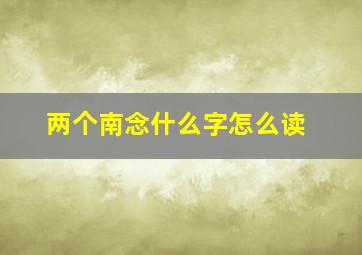 两个南念什么字怎么读