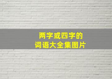 两字或四字的词语大全集图片