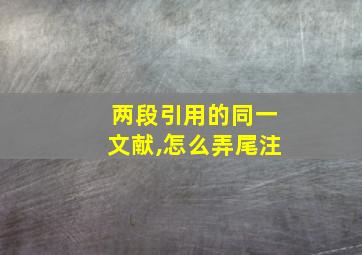 两段引用的同一文献,怎么弄尾注