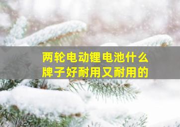 两轮电动锂电池什么牌子好耐用又耐用的