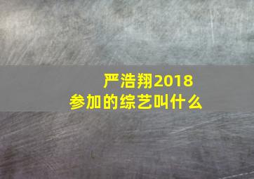 严浩翔2018参加的综艺叫什么