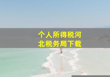 个人所得税河北税务局下载