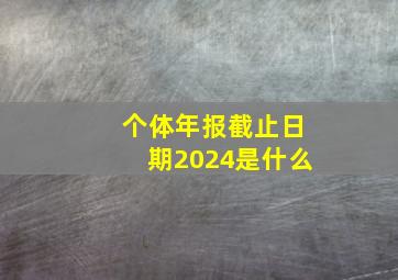 个体年报截止日期2024是什么