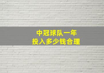 中冠球队一年投入多少钱合理