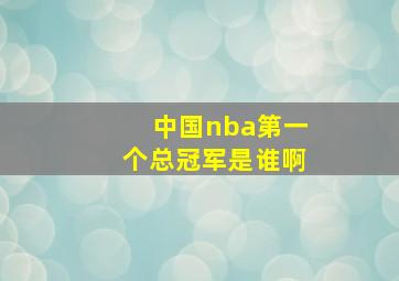 中国nba第一个总冠军是谁啊