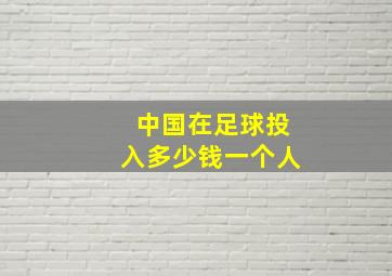 中国在足球投入多少钱一个人