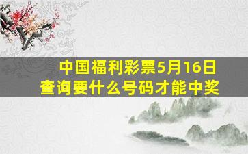 中国福利彩票5月16日查询要什么号码才能中奖