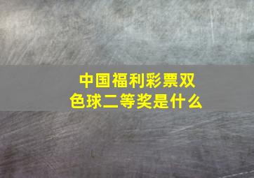 中国福利彩票双色球二等奖是什么