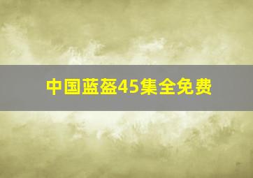 中国蓝盔45集全免费