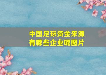 中国足球资金来源有哪些企业呢图片