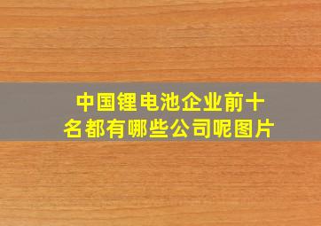 中国锂电池企业前十名都有哪些公司呢图片