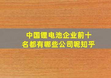 中国锂电池企业前十名都有哪些公司呢知乎