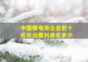 中国锂电池企业前十名长远锂科排名多少