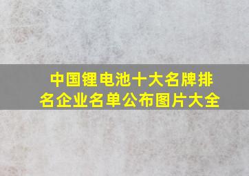 中国锂电池十大名牌排名企业名单公布图片大全