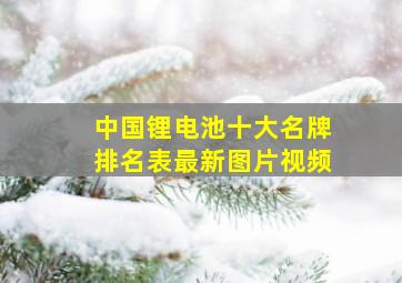 中国锂电池十大名牌排名表最新图片视频