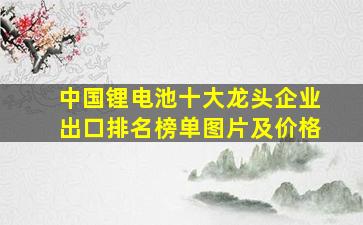 中国锂电池十大龙头企业出口排名榜单图片及价格