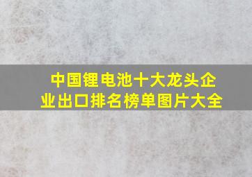 中国锂电池十大龙头企业出口排名榜单图片大全