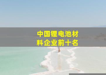 中国锂电池材料企业前十名