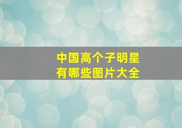 中国高个子明星有哪些图片大全