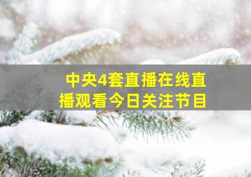 中央4套直播在线直播观看今日关注节目