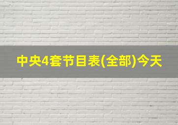 中央4套节目表(全部)今天