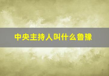 中央主持人叫什么鲁豫