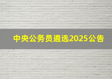 中央公务员遴选2025公告