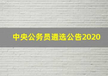 中央公务员遴选公告2020