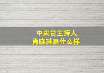 中央台主持人肖晓琳是什么样