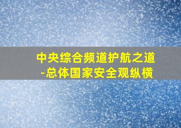 中央综合频道护航之道-总体国家安全观纵横