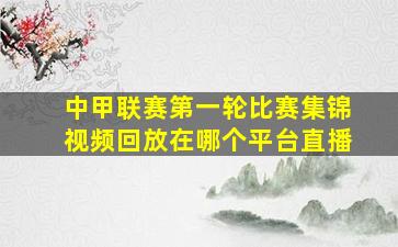 中甲联赛第一轮比赛集锦视频回放在哪个平台直播