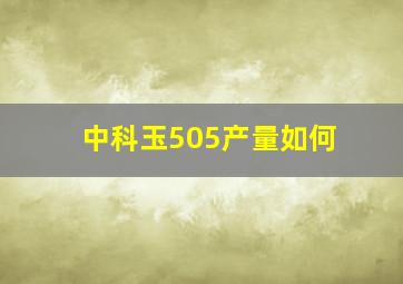 中科玉505产量如何