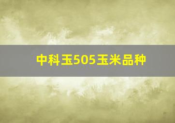 中科玉505玉米品种