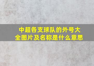 中超各支球队的外号大全图片及名称是什么意思