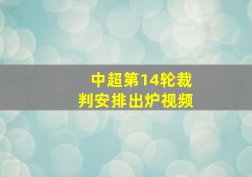 中超第14轮裁判安排出炉视频