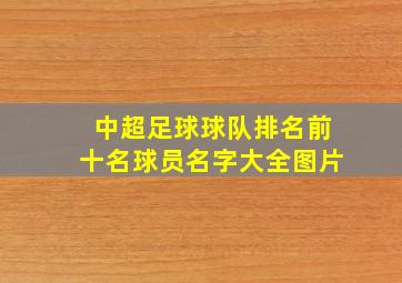 中超足球球队排名前十名球员名字大全图片