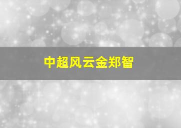 中超风云金郑智