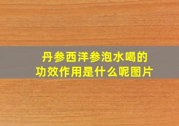 丹参西洋参泡水喝的功效作用是什么呢图片