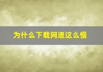 为什么下载网速这么慢