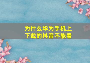 为什么华为手机上下载的抖音不能看