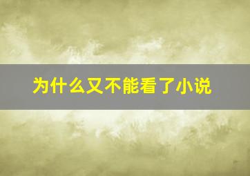 为什么又不能看了小说