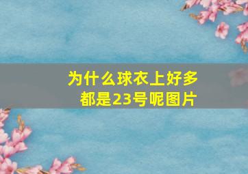 为什么球衣上好多都是23号呢图片