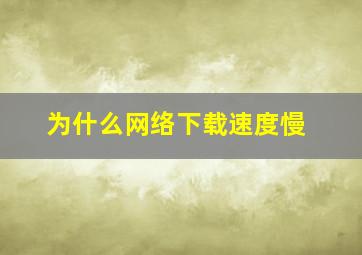 为什么网络下载速度慢