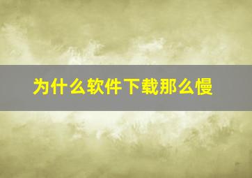 为什么软件下载那么慢