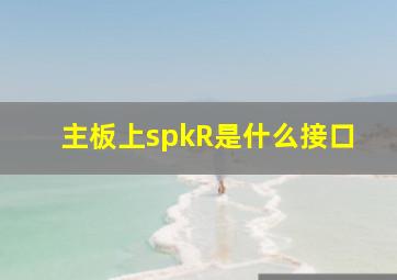 主板上spkR是什么接口