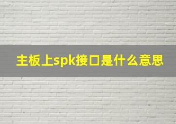 主板上spk接口是什么意思