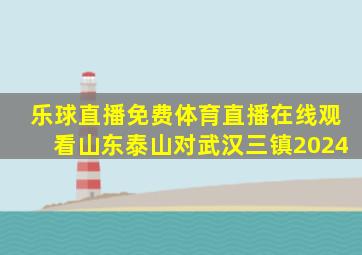 乐球直播免费体育直播在线观看山东泰山对武汉三镇2024