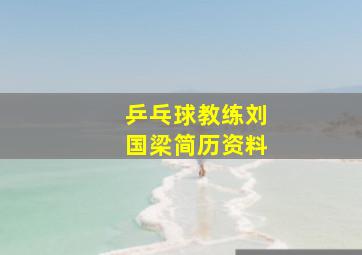 乒乓球教练刘国梁简历资料