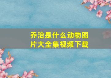 乔治是什么动物图片大全集视频下载